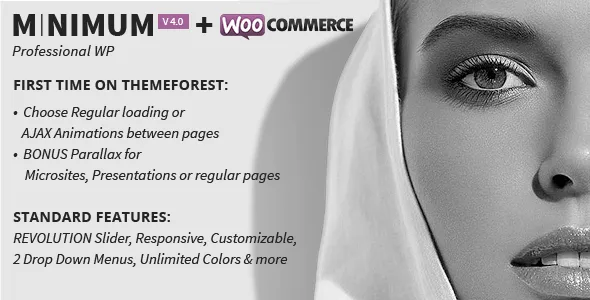 minimum professional wordpress theme