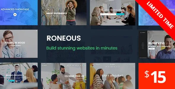 roneous creative multi purpose wordpress theme