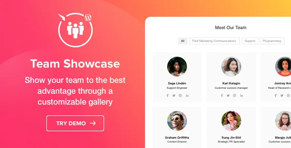 team showcase wordpress plugin