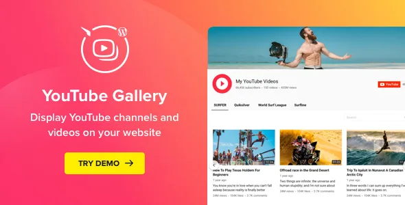 youtube plugin wordpress gallery for youtube