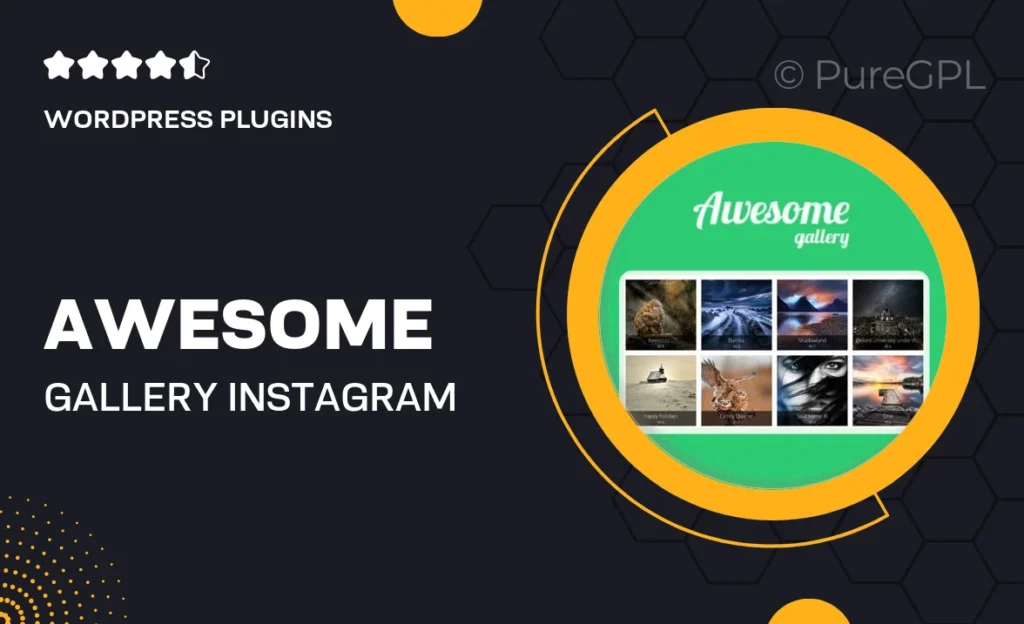 Awesome Gallery – Instagram, Flickr, Facebook galleries on your site 26 Awesome Gallery – Instagram, Flickr, Facebook galleries on your site