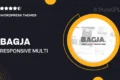 Bagja – Responsive Multi Concept & One Page Portfolio Theme