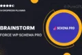 BrainStorm Force | WP Schema Pro