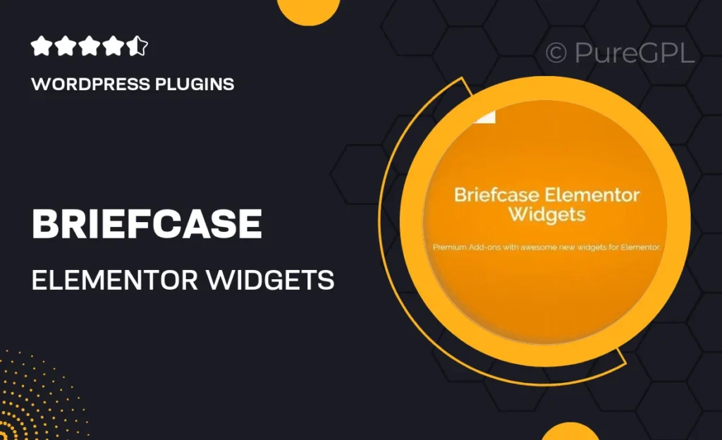 Briefcase Elementor Widgets 12 Briefcase Elementor Widgets