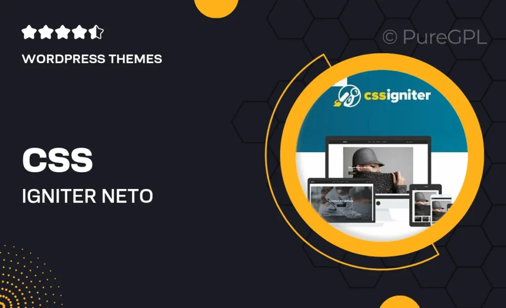 CSS Igniter Neto WooCommerce Theme 8 CSS Igniter Neto WooCommerce Theme