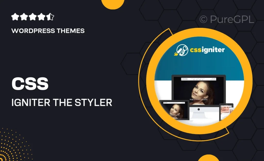 CSS Igniter The Styler WordPress Theme 10 CSS Igniter The Styler WordPress Theme