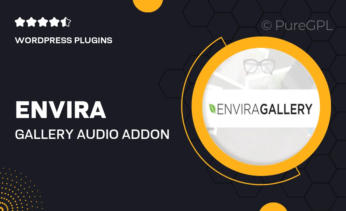 Envira gallery | Audio Addon