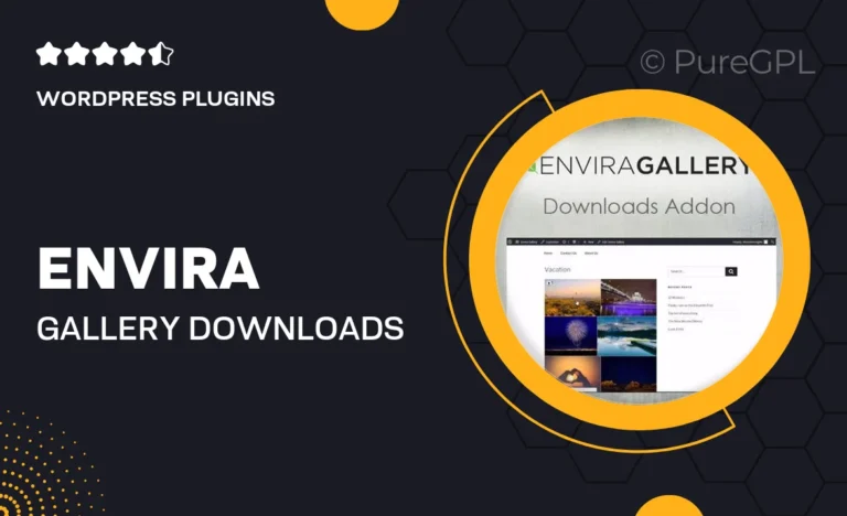 envira gallery downloads addon