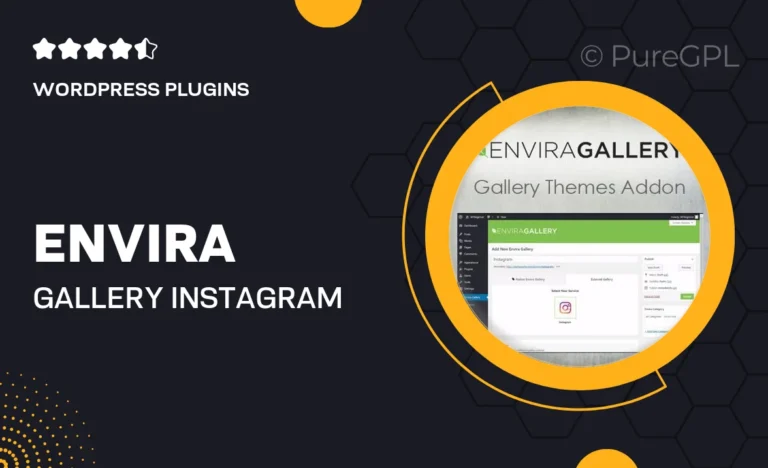 envira gallery instagram addon