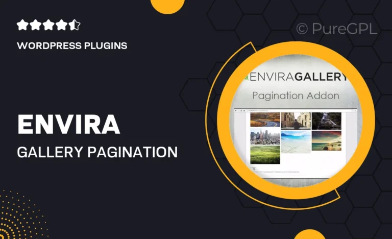 envira gallery pagination addon