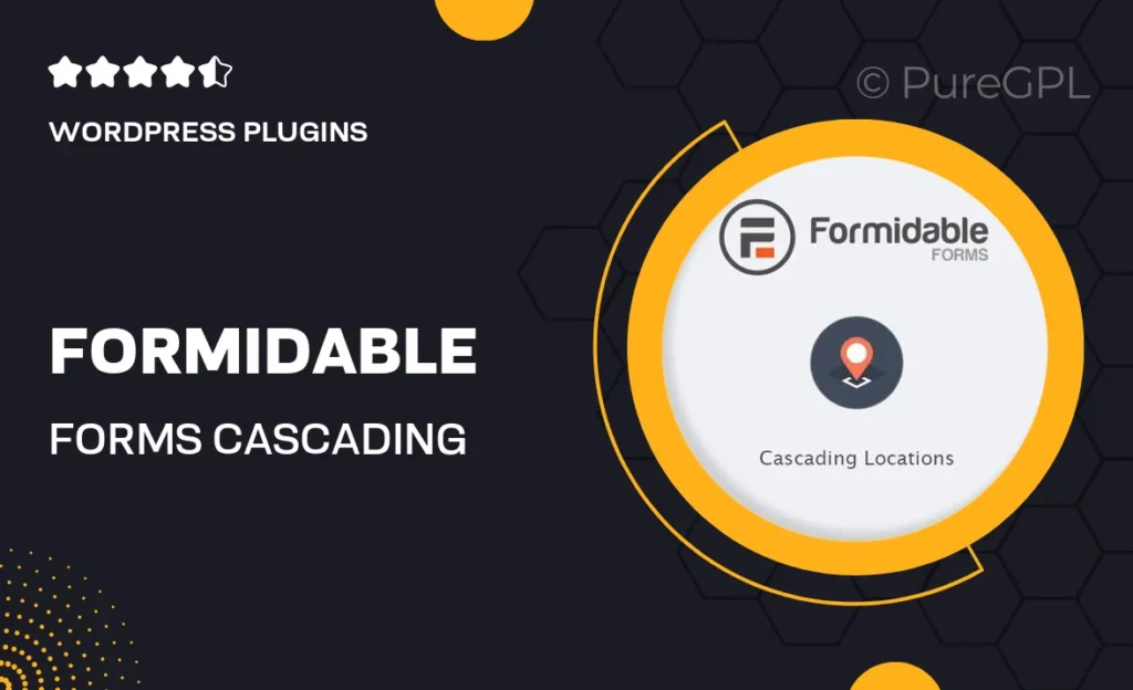 Formidable Forms – Cascading Locations 46 Formidable Forms – Cascading Locations