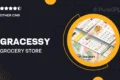 Gracessy | Grocery Store Shopify 2.0 Theme