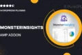 MonsterInsights – AMP Addon