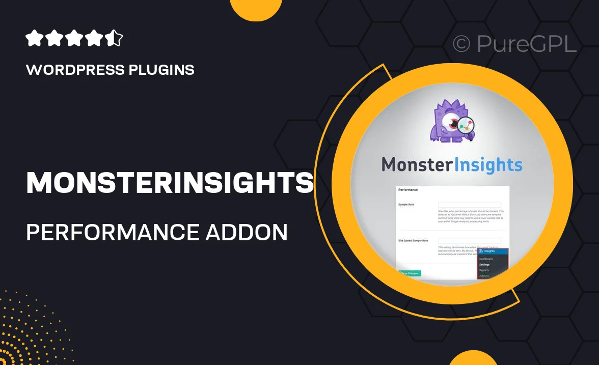 MonsterInsights – Performance Addon