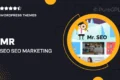 Mr. SEO | SEO, Marketing Agency and Social Media Theme