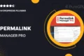 Permalink Manager Pro