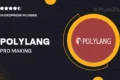 Polylang Pro – Making WordPress multilingual