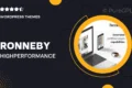 Ronneby – High-Performance WordPress Theme