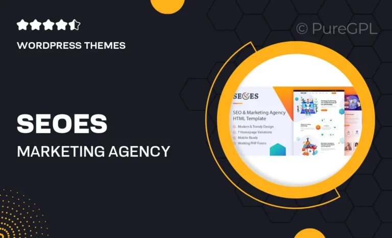 seoes marketing agency wordpress theme