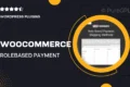 WooCommerce Role-Based Payment / Shipping Methods