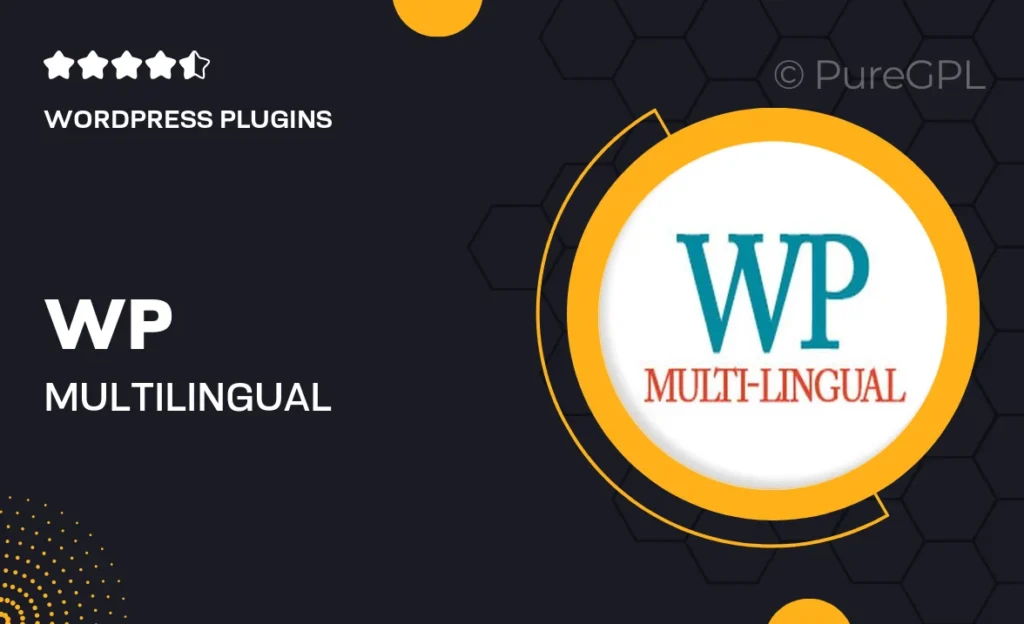 Wp multi-lingual | WooCommerce Multilingual feature image