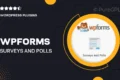 WPForms – Surveys and Polls