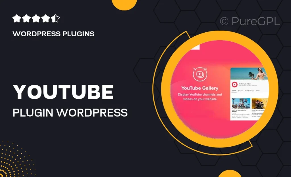 YouTube Plugin – WordPress Gallery for YouTube 21 YouTube Plugin – WordPress Gallery for YouTube
