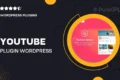 YouTube Plugin – WordPress Gallery for YouTube