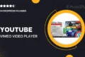 Youtube Vimeo Video Player and Slider WP Plugin