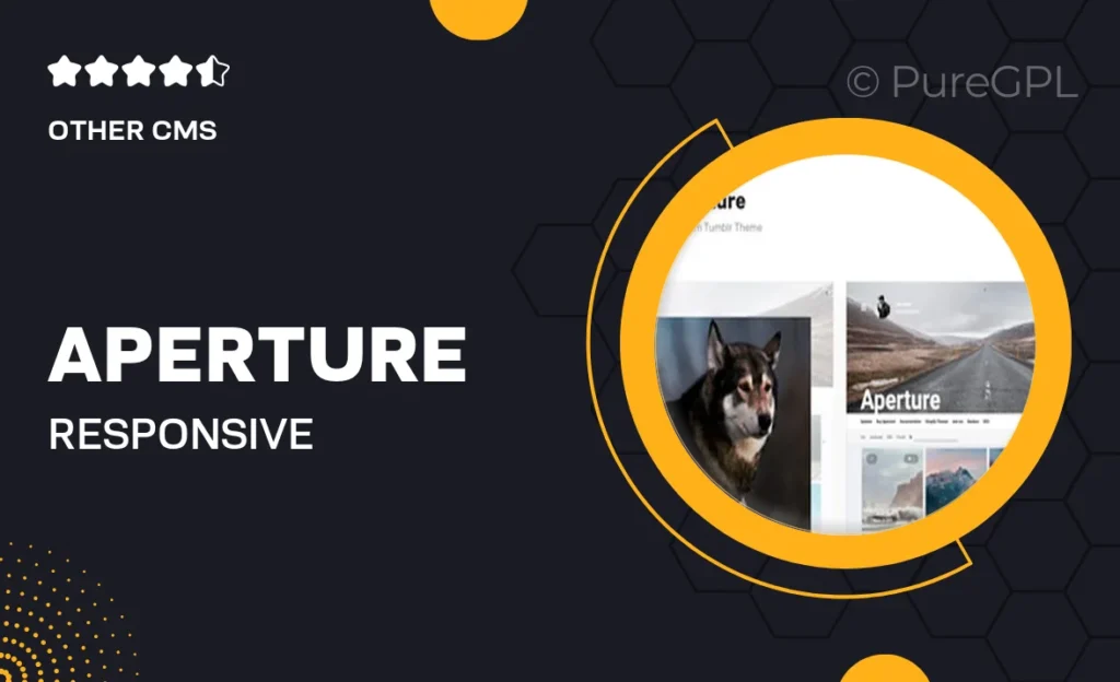 Aperture – Responsive Photography Tumblr Theme 21 Aperture – Responsive Photography Tumblr Theme