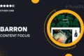 Barron – Content Focus Tumblr Theme