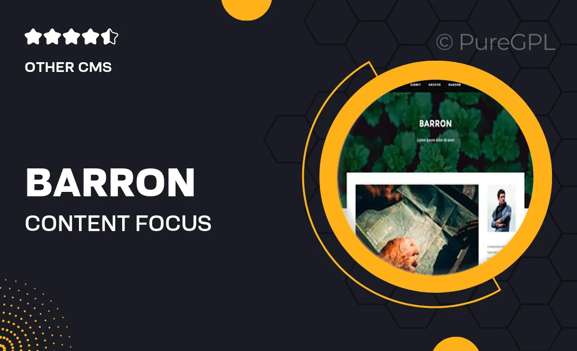 Barron – Content Focus Tumblr Theme