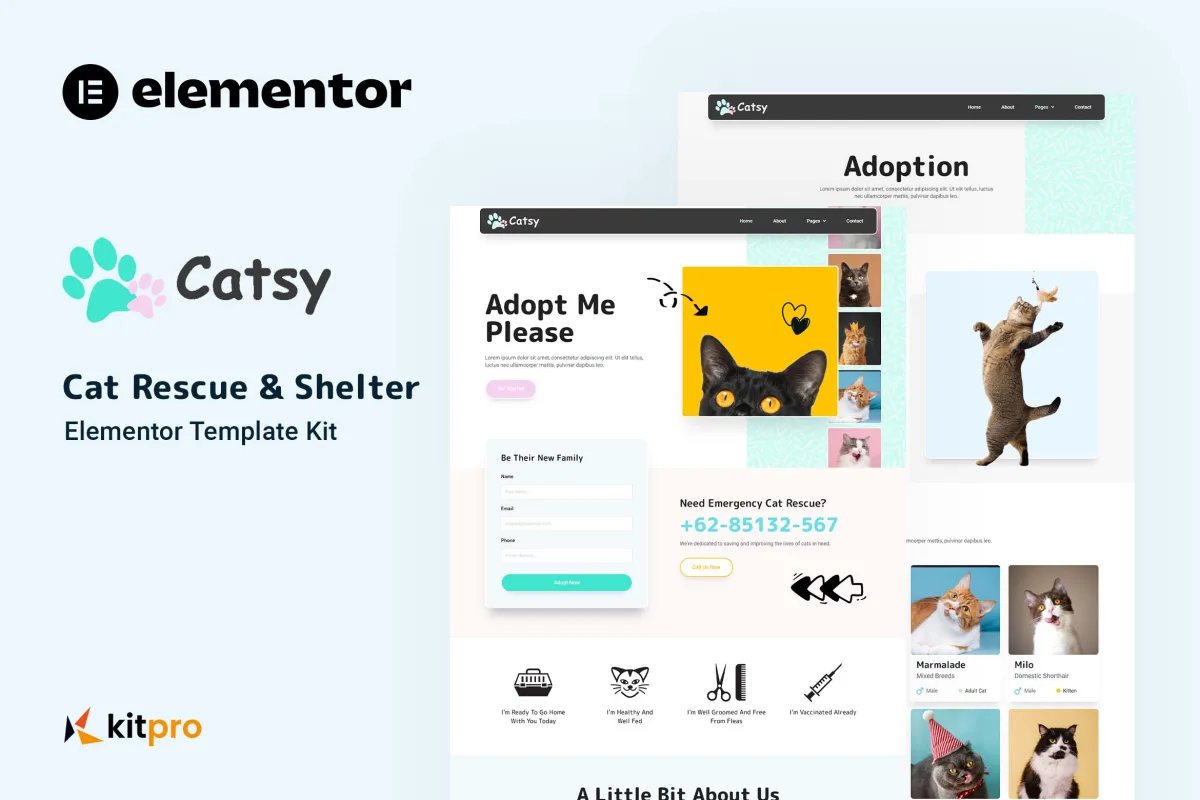 Catsy – Cat Rescue Shelter Elementor Template Kit