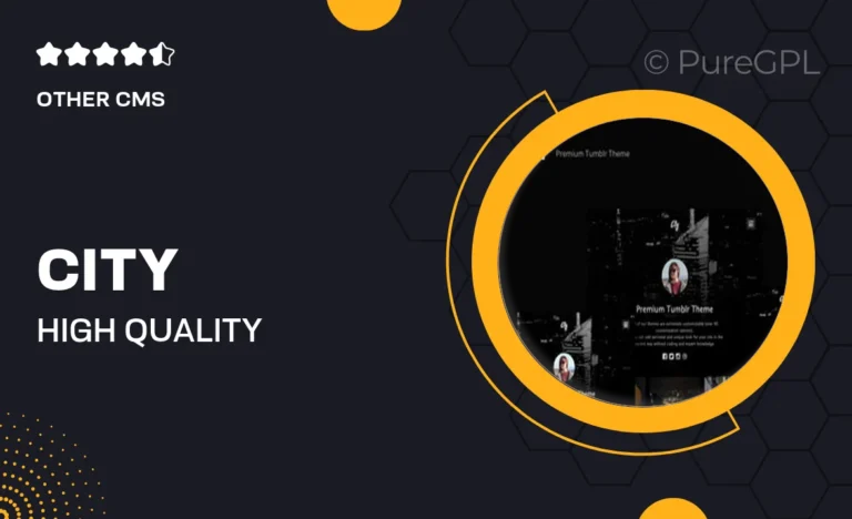 city high quality portfolio tumblr theme