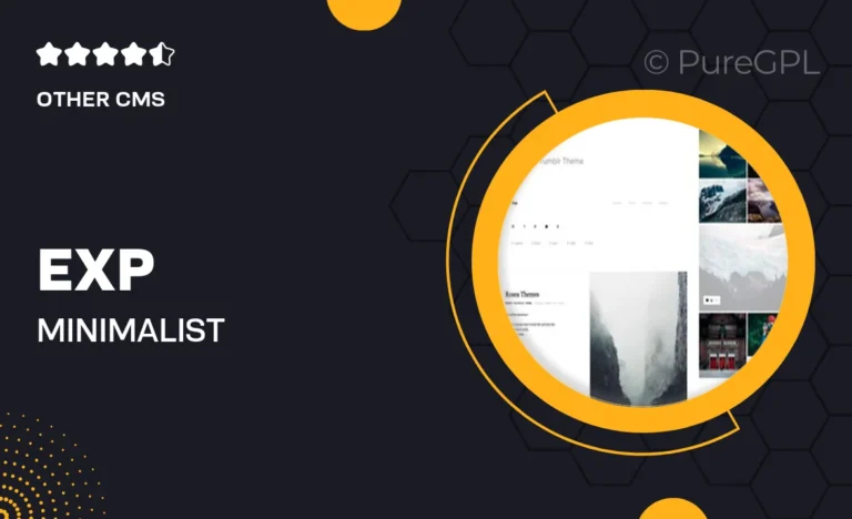 exp minimalist portfolio tumblr theme