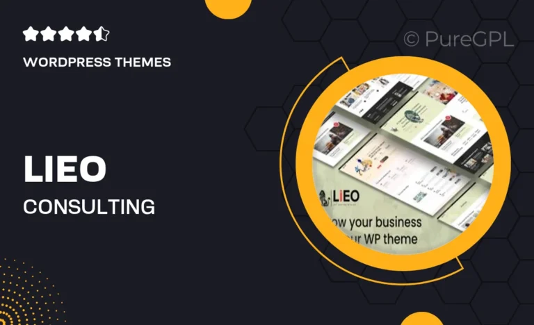 lieo consulting wordpress theme