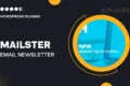 Mailster – Email Newsletter Plugin for WordPress + Templates