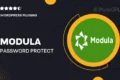 Modula | Password Protect