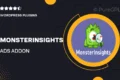 Monsterinsights | Ads Addon