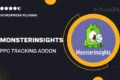 Monsterinsights | PPC Tracking Addon
