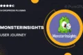 Monsterinsights | User Journey