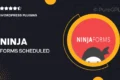 Ninja forms | Scheduled Exports