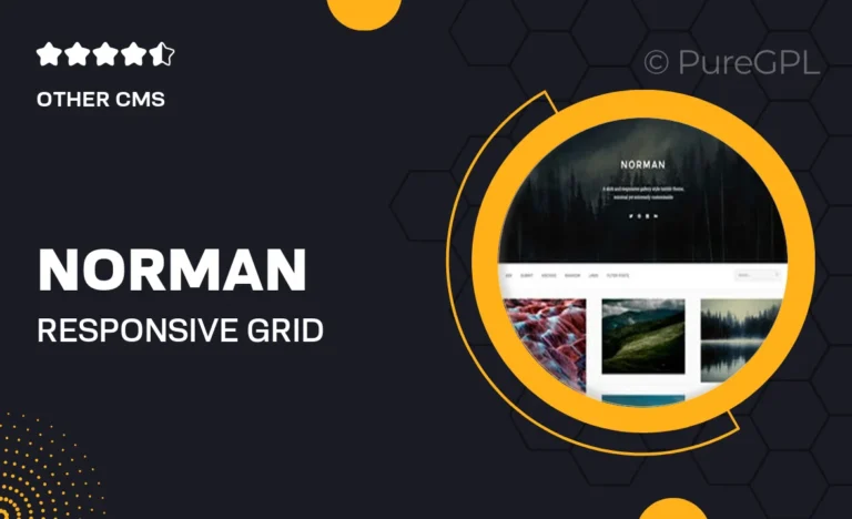 norman responsive grid tumblr theme