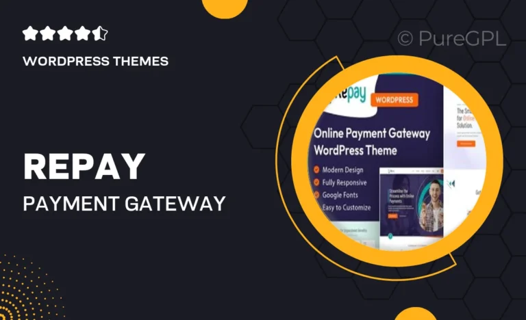repay payment gateway wordpress theme
