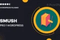 Smush Pro – #1 WordPress Image Optimization Plugin