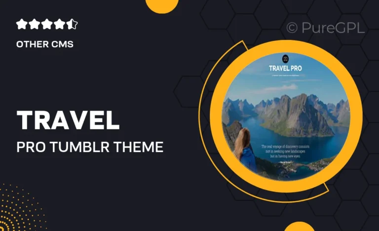 travel pro tumblr theme