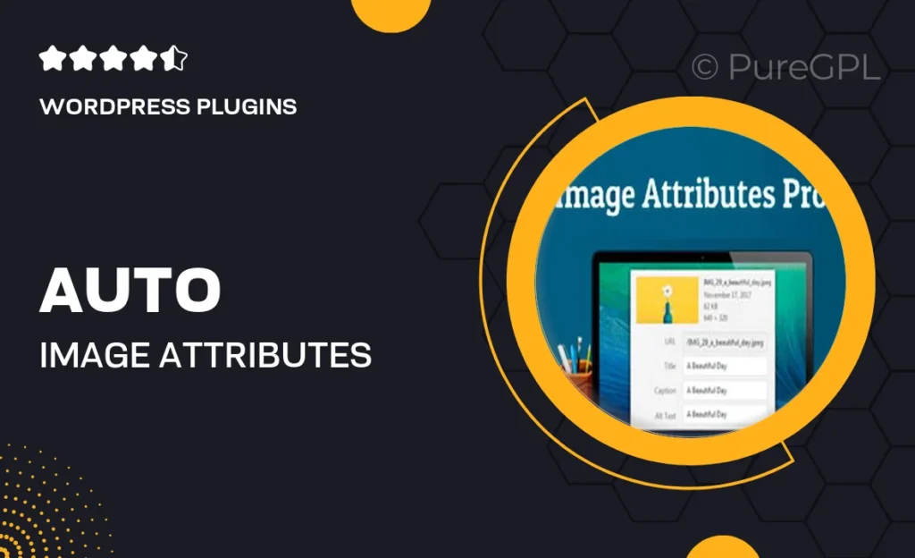 Auto Image Attributes Pro – Image Title & Alt Text For Image SEO