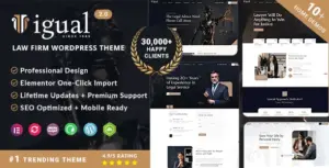Igual – Law Firm WordPress Theme