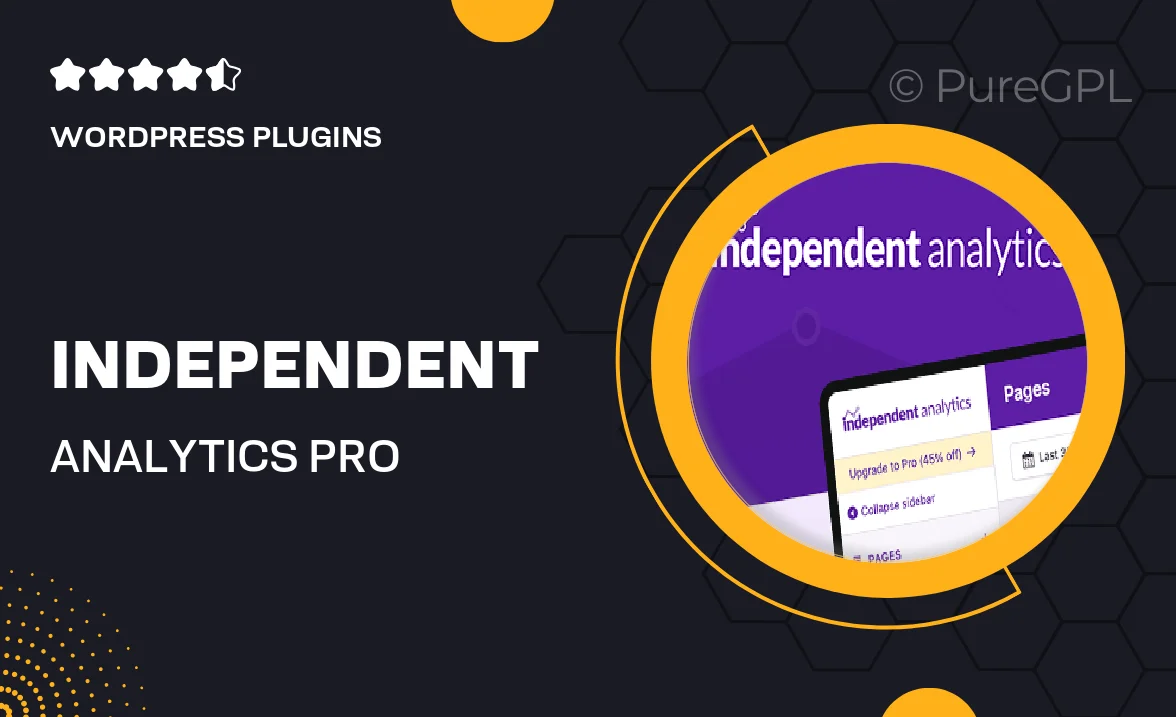 Independent Analytics Pro – Google Analytics Alternative for WP