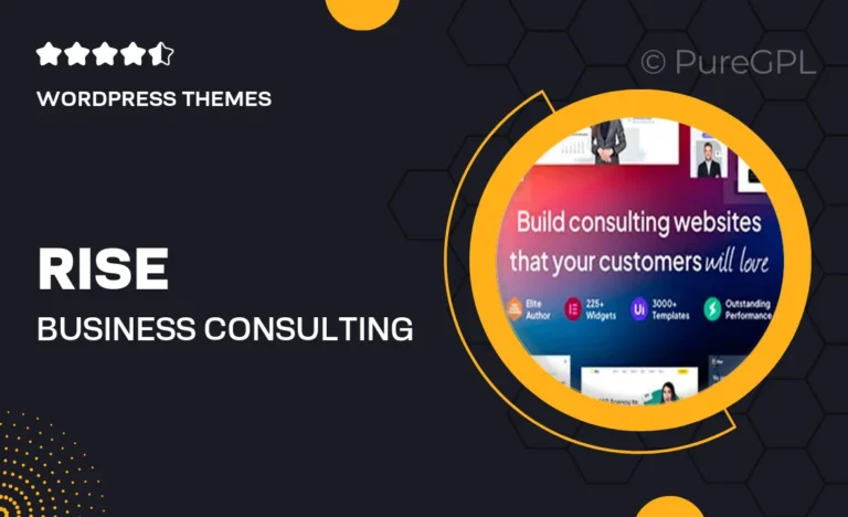 rise business consulting wordpress theme